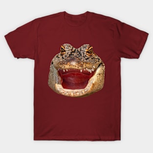 Open wide for the Dentist T-Shirt